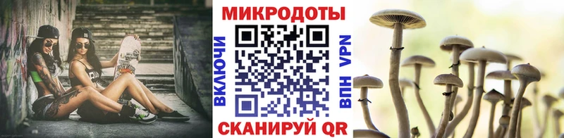 Галлюциногенные грибы Psilocybe  Большой Камень 